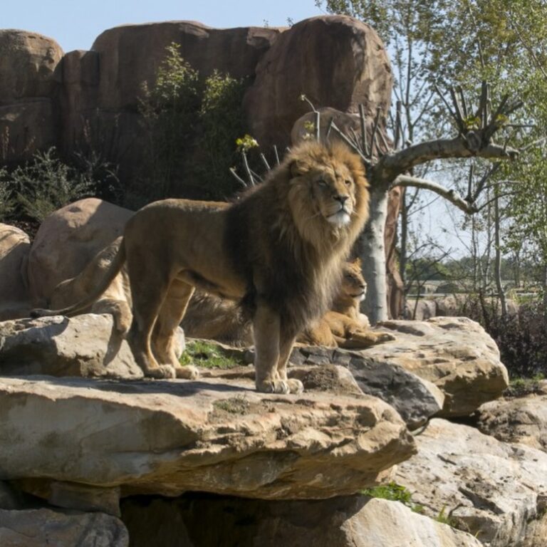 Instagram post from atelieremocio. This post is in position 2.