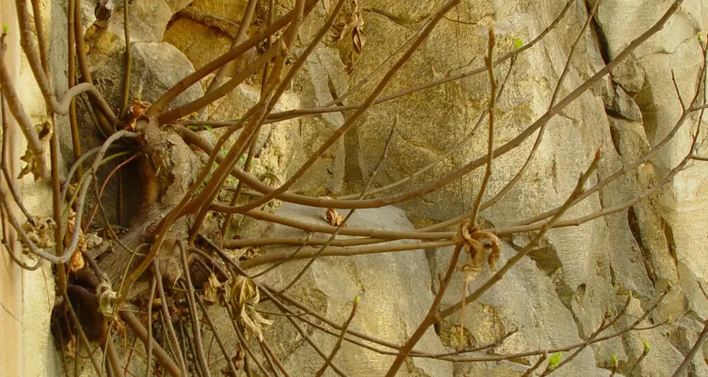 1920x1024-gare-de-monaco-08