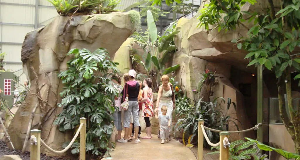 1920x1024-serre-amazonienne-montpellier-02