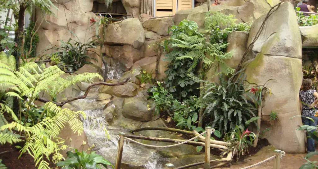 1920x1024-serre-amazonienne-montpellier-03