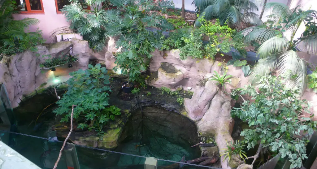 1920x1024-serre-amazonienne-montpellier-04