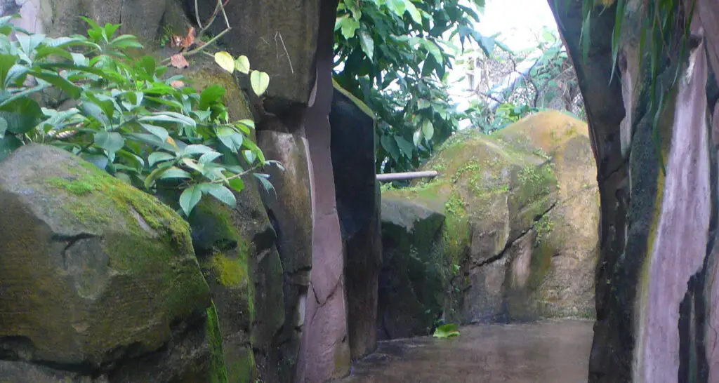 1920x1024-serre-amazonienne-montpellier-05