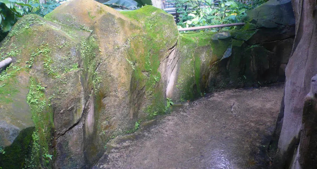 1920x1024-serre-amazonienne-montpellier-06