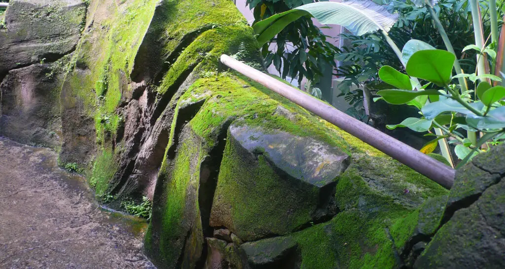 1920x1024-serre-amazonienne-montpellier-07