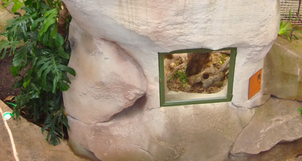 1920x1024-serre-amazonienne-montpellier-08