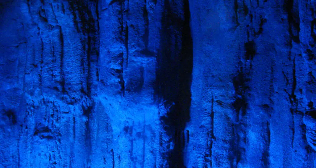 1920x1024-serre-amazonienne-montpellier-11