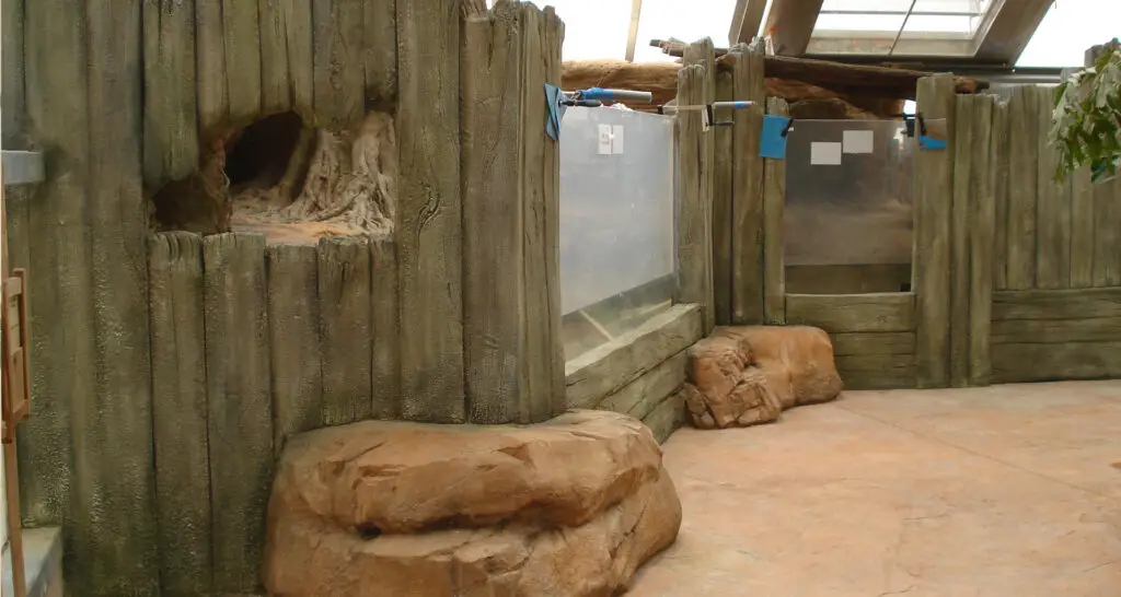 1920x1024-serre-crocodile-de-civaux-phase2-09