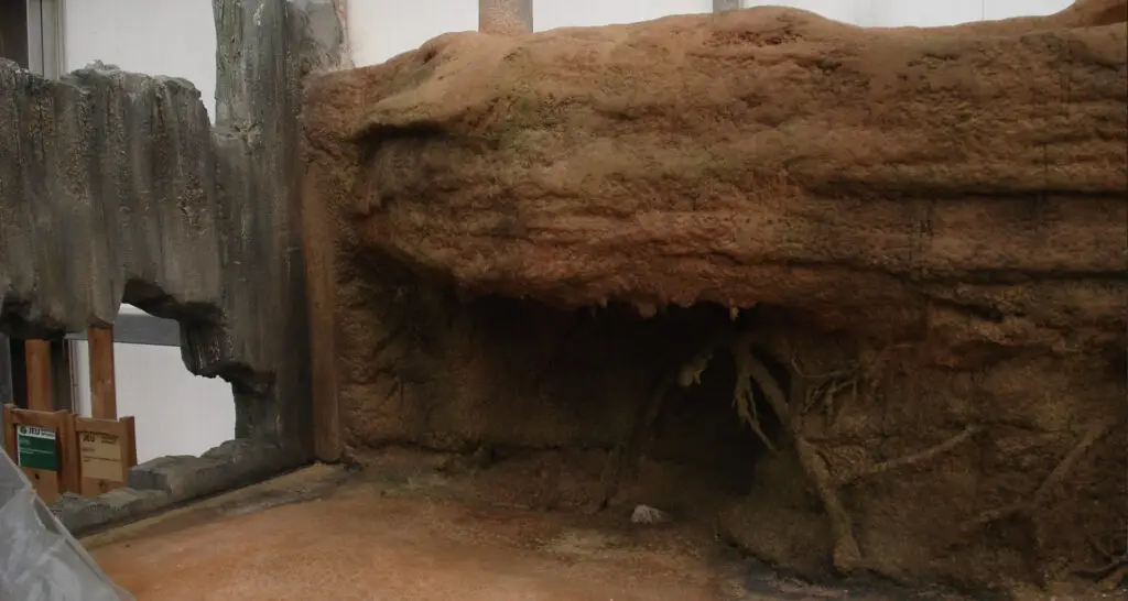 1920x1024-serre-crocodile-de-civaux-phase2-13