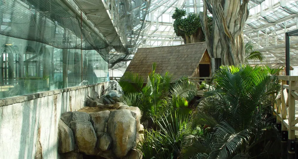 1920x1024-serre-tropicale-canada-11