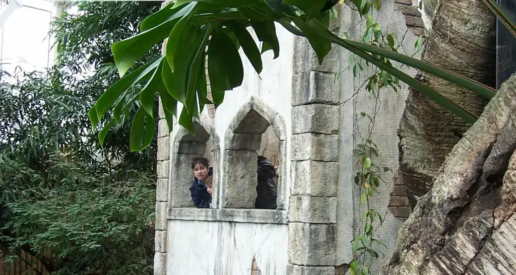 1920x1024-serre-tropicale-canada-13