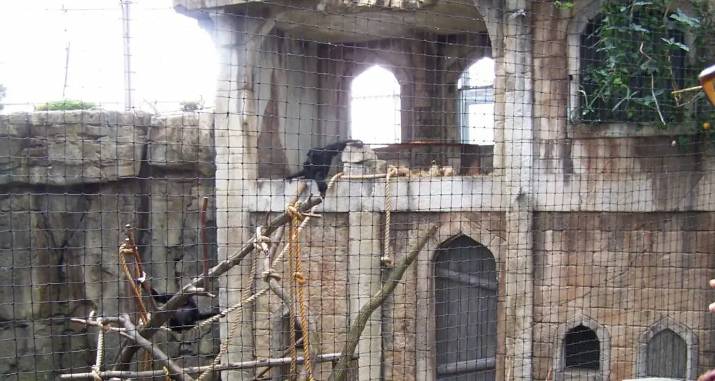 1920x1024-serre-tropicale-canada-15