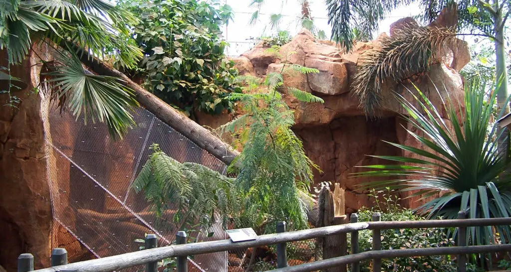 1920x1024-serre-tropicale-canada-16