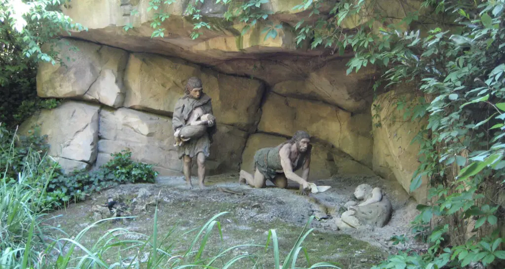 1920x1024-zone-des-elephants-01