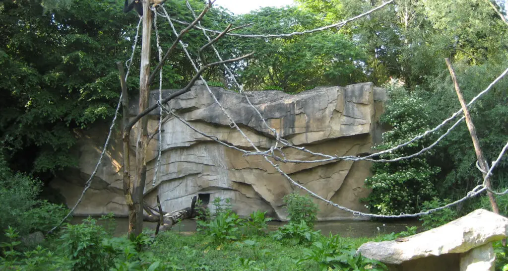 1920x1024-zone-des-elephants-04