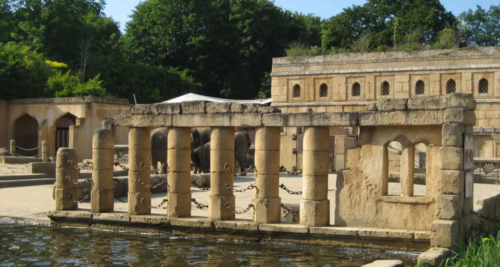 1920x1024-zone-des-elephants-08