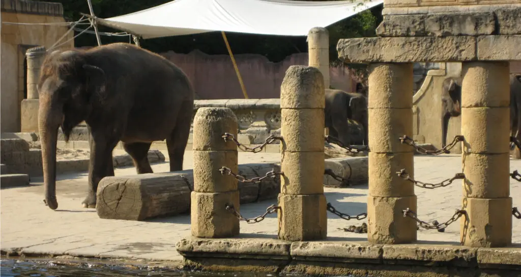 1920x1024-zone-des-elephants-09