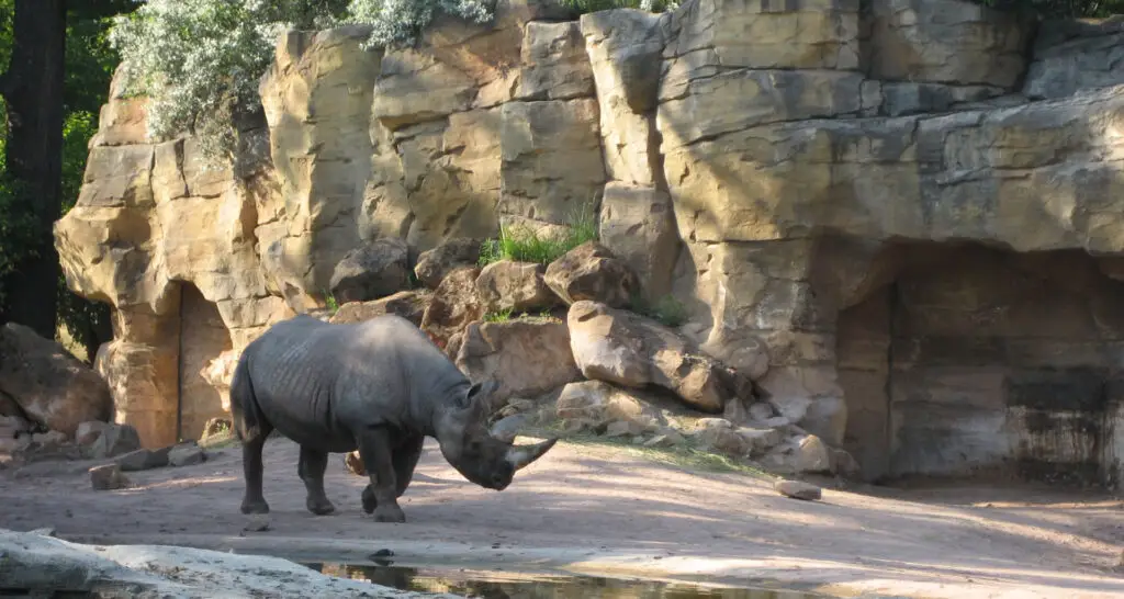 1920x1024-zone-des-elephants-13